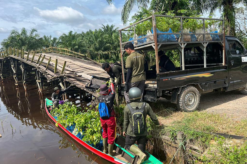 Die Pflanzsaison 2024/25 in Indonesien ist abgeschlossen!