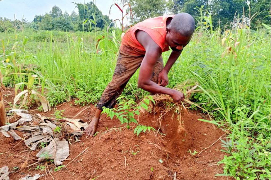 Warum Kirahwa in Uganda bereits über 500 Bäume gepflanzt hat
