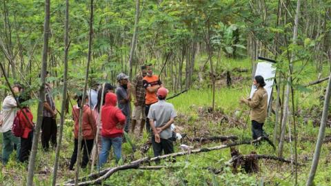 100 Millionen Bäume für Borneo